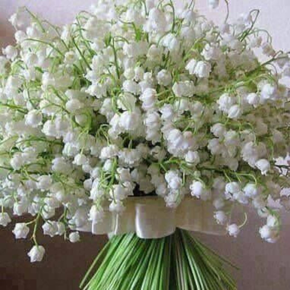 Meet your Posher, Alejandra